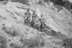 ASCI-Bologna_01353-Albero_1923_campo-regionale-a-Prunarolo-Vergato_13-28agosto