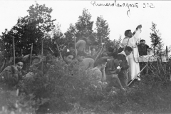 ASCI-Bologna_01356-Albero_1923_campo-regionale-a-Prunarolo-Vergato_13-28agosto