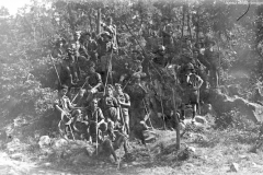 ASCI-Bologna_01357-Albero_1923_campo-regionale-a-Prunarolo-Vergato_13-28agosto