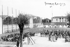 ASCI-Bologna_01336-Albero_1923_S.Giorgio-a-Ferrara-con-partecipazione-scouts-Bologna_20maggio
