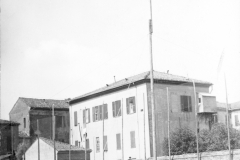 ASCI-Bologna_01338-Albero_1923_S.Giorgio-a-Ferrara-con-partecipazione-scouts-Bologna_20maggio
