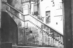 ASCI-Bologna_01339-Albero_1923_uscita-a-Firenze_luglio