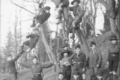 ASCI-Bologna_01372-Albero_1923_uscita-BO2-a-Barbiano-colli-Bolognesi_11marzo