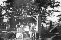 ASCI-Bologna_01391-Albero_1924_campo-ad-Acquaria-Mo