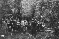 ASCI-Bologna_01394-Albero_1924_BO1-campo-a-Capugnano-Porretta_17-28agosto