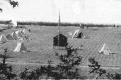 ASCI-Bologna_01412-Albero_1925_anno-giubilare-Campo-dei-Campi-Bolsena-Roma_campo-dellEmilia