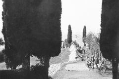 ASCI-Bologna_01415-Albero_1925_attività