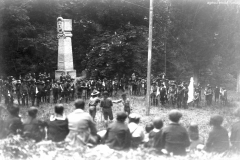 ASCI-Bologna_01419-Albero_1926_S.Giorgio-a-Villa-Cassarini-Bologna