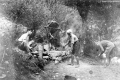 ASCI-Bologna_01481-Albero_1927_BO1-Cerelio-di-Vergato-ultimo-campo