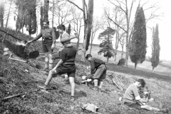 ASCI-Bologna_01509-Albero_1927_gioco-del-bivacco-colli-bolognesi