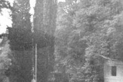 ASCI-Bologna_01470-Albero_1927_S.Giorgio-villa-Cassarini-e-decennale-fondazione-scout-Bologna_27aprile