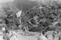 ASCI-Bologna_01533-Albero_1945_Monzuno-primo-campo-scout_12-15ago