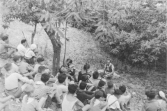 ASCI-Bologna_01536-Albero_1945_Monzuno-primo-campo-scout_12-15ago