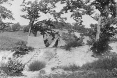 ASCI-Bologna_01558-Albero_1946_campo-di-Piamaggio