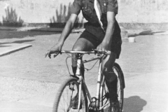 ASCI-Bologna_01725-Albero_1940-fine-decennio_BO16-nel-cortile-di-S.Giuseppe