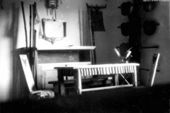 ASCI-Bologna_01789-Albero_1946_BO16-sq.Volpi_angolo-di-Sq_ottobre