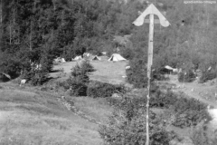 ASCI-Bologna_01608-Albero_1947_campo-di-Rio-Piano
