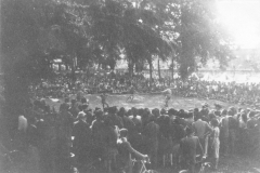 ASCI-Bologna_01578-Albero_1947_Festa-della-Primavera-Firenze