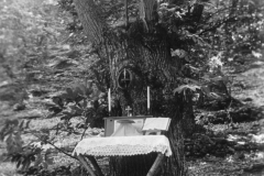 ASCI-Bologna_01747-Albero_1950-inizio-decennio_BO16-altare-al-campo