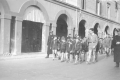 ASCI-Bologna_01749-Albero_1950-inizio-decennio_BO16-branco-e-reparto-su-via-Saragozza