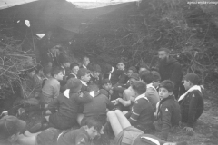 ASCI-Bologna_01754-Albero_1950-inizio-decennio_BO16-p.Anastasio-Cantoni-e-lupetti-a-VdB