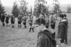 ASCI-Bologna_00265-Albero_1962_BO5-VdB_luglio