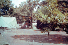 ASCI-Bologna_00269-Albero_1962_BO5-Campo-naz-monte-Amiata