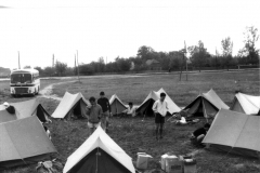 ASCI-Bologna_00282-Albero_1962_Garisenda-Sud-route-Jugoslavia_agosto