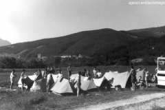 ASCI-Bologna_00283-Albero_1962_Garisenda-Sud-route-Jugoslavia_agosto