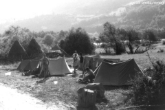 ASCI-Bologna_00284-Albero_1962_Garisenda-Sud-route-Jugoslavia_agosto