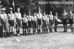 ASCI-Bologna_00333-Albero_1963_BO5-campo-rep-a-Vermiglio_luglio