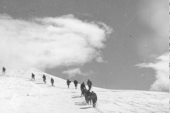 ASCI-Bologna_00356-Albero_1963_Garisenda-Sud-route-dei-4000_agosto