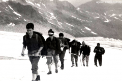 ASCI-Bologna_00369-Albero_1963_Garisenda-Sud-route-dei-4000_agosto