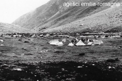 ASCI-Bologna_00375-Albero_1964_Garisenda-Sud_route-naz-rover-Abruzzo_agosto