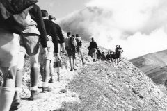 ASCI-Bologna_00383-Albero_1964_Garisenda-Sud_route-naz-rover-Abruzzo_agosto