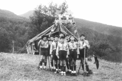 ASCI-Cesena_01113_Albero_1960_rep-CES-3-sq.Bufali-di-Savignano_campo-Badia-Prataglia