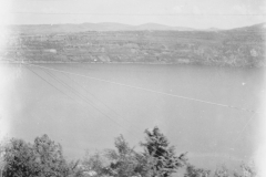 ASCI-reg-EmRomagna_01561-Albero_1946_Roma.Castelgandolfo-raduno-nazionale-capi