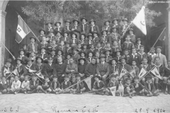 ASCI-Rimini_01403-Albero_1924_reparti-Rimini-1-e-Rimini2_28settembre