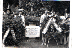 ASCI-Rimini_00502-Albero_1971-scout-ASCI-e-GEI