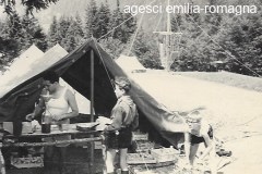 BAIETTI-Augusto_00518-Albero_1957-la-cambusa-a-Ponte-Legno