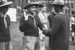 BAIETTI-Augusto_00524-Albero_1964-BO5-campo-rep-a-Sfruz-