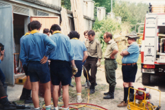 MENOZZI-Luigi_00721-Albero_1981_Spettine-prot.civile