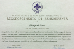 MORA-Gianpaolo_00752-Albero_2016_benemerenza-AGESCI