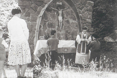 MORONI-d.Tonino_00759-Albero_1959_alla-Maesta-Cristo-delle-Nevi-Lago-Santo-MO